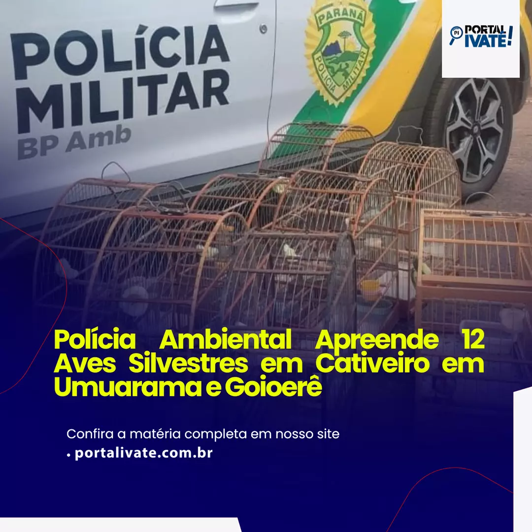 Polícia Ambiental apreende 12 aves silvestres em cativeiro em Umuarama e Goioerê